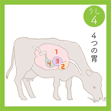 牛 怎麼畫|用数字5画牛 ～ Cow